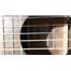 Elektro Klasik gitar Takamine GC1CE-BLK 