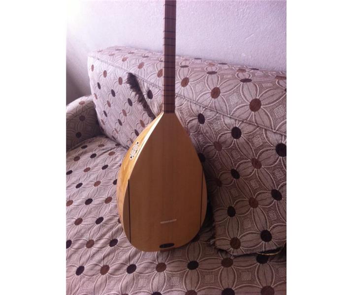 DUT AĞACI BAĞLAMA 350 LİRA- TAKAS YAPILIR 