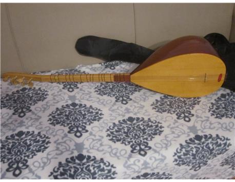 dut agacı baglama 120