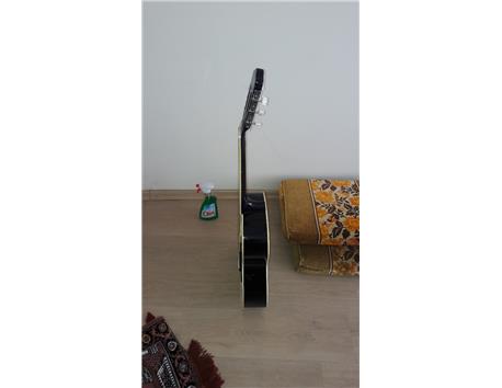 klasik gitar (Sgc100bk)