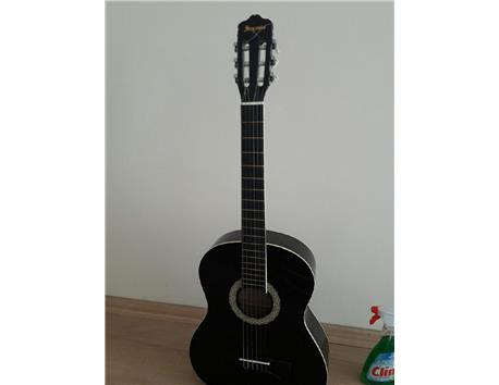 klasik gitar (Sgc100bk)