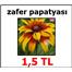 zafer papatyası(HEDİYELİDİR)