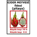 kaynana dili kaktüsü -antalya(HEDİYELİDİR)