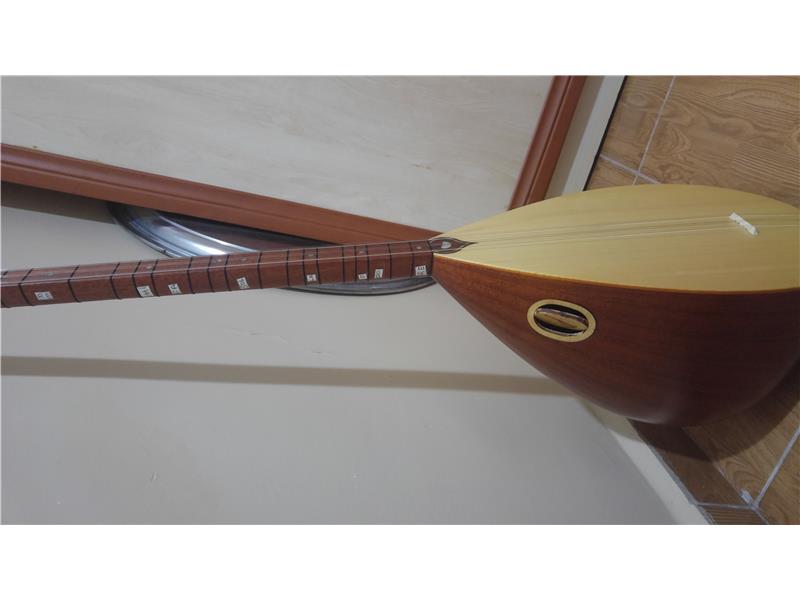 40 TEKNE UZUN SAP MAUN BAĞLAMA TEKLİF ALIYORUM DETAYLAR AÇIKLAMADA