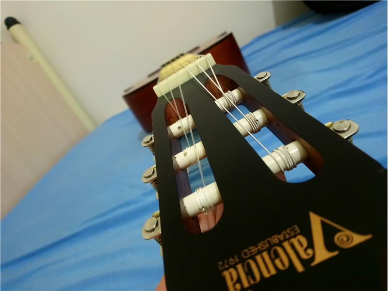valencia akustik gitar 