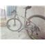 Bianchi rcx529