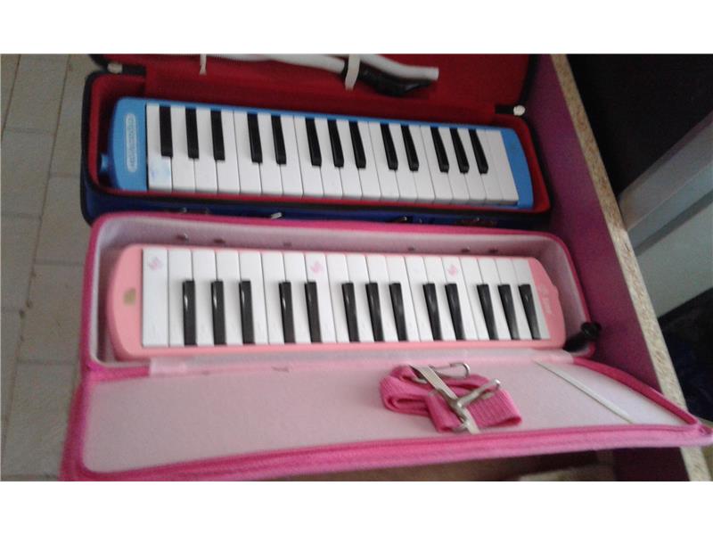 MELODICA