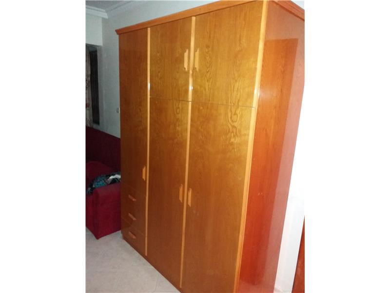 salon oturma gurubu   çekme yataklı + elbise dolab +  divan   