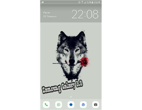 SAMSUNG GALAXY A8 