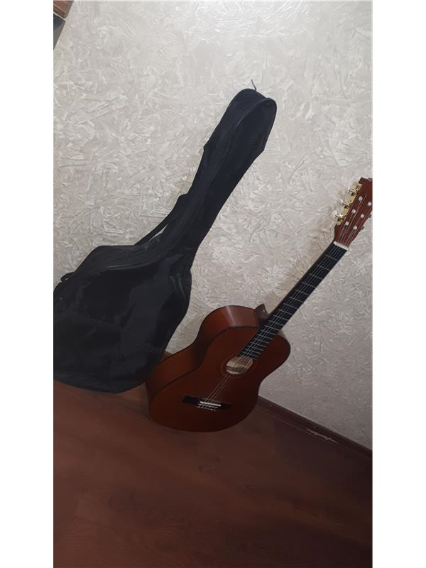 SANTA CRUZ CG220 KLASIK GITAR