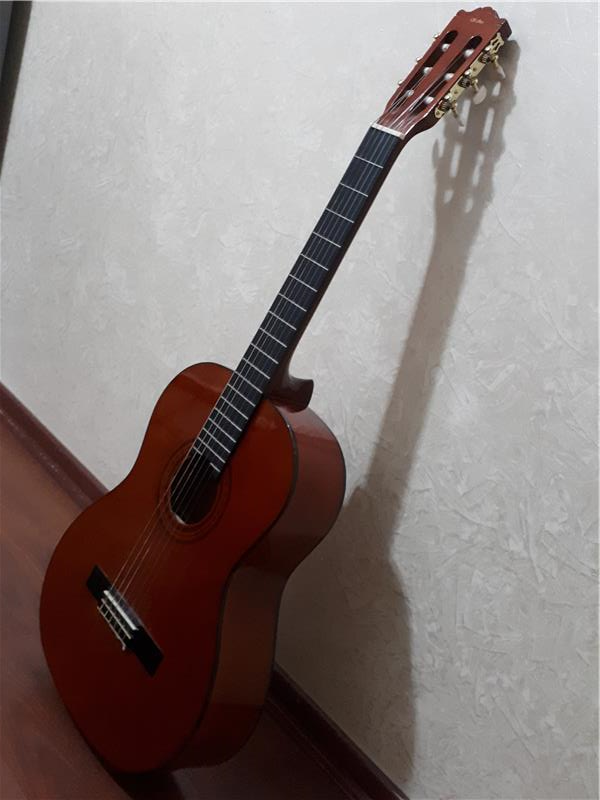 SANTA CRUZ CG220 KLASIK GITAR