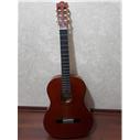 SANTA CRUZ CG220 KLASIK GITAR