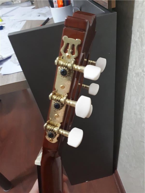 SANTA CRUZ CG220 KLASIK GITAR