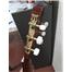 SANTA CRUZ CG220 KLASIK GITAR