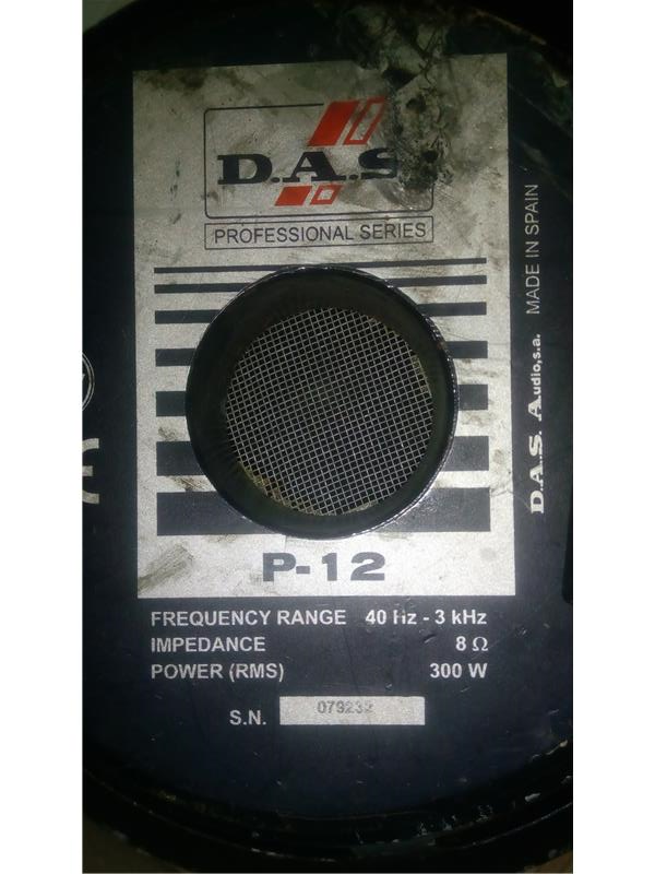 das 12-P Speaker