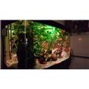 Full ekipman akvaryum