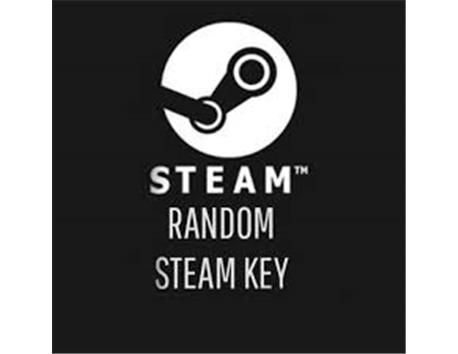 Steam RANDOM KEY 1 ADET