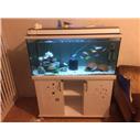 balıklı akvaryum mobilyalı