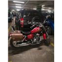 Regal Raptor DD125