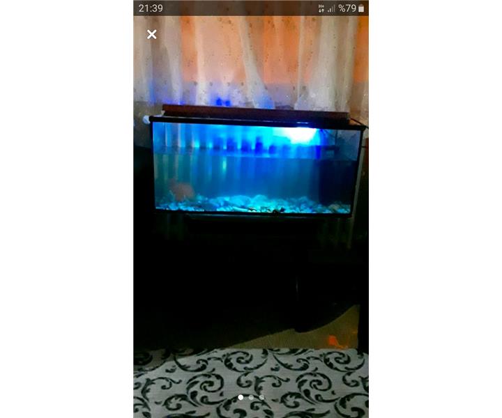 30×70 satilik akvaryum ppv icinde baliklarida mevcut