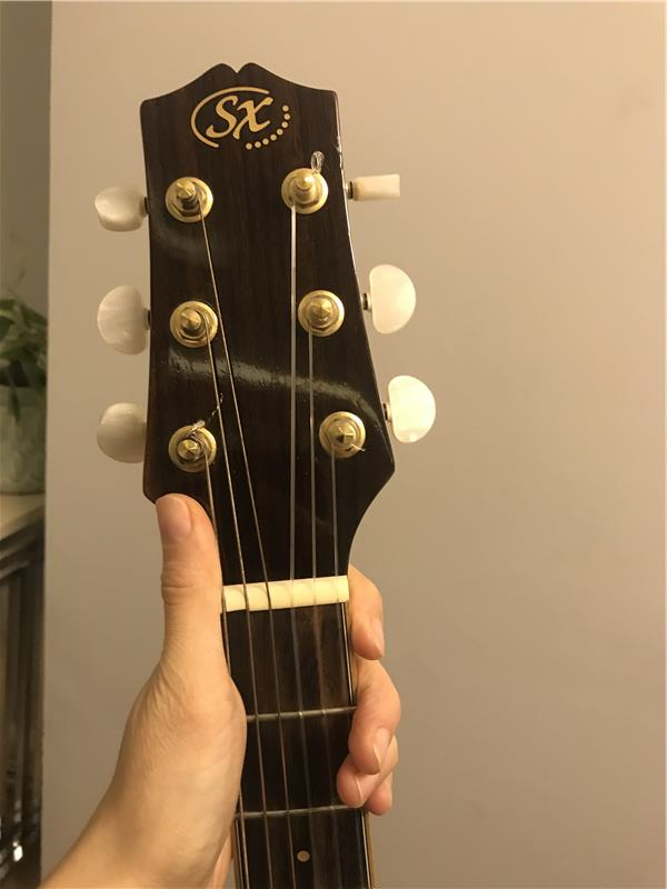 SX Akustik gitar DG50+