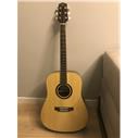 SX Akustik gitar DG50+
