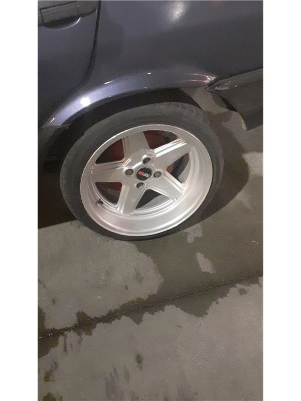 Rc hastası 