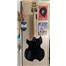 Washburn  PS-80 PAUL STANLEY SIGNATURE ELEKTRO GİTAR