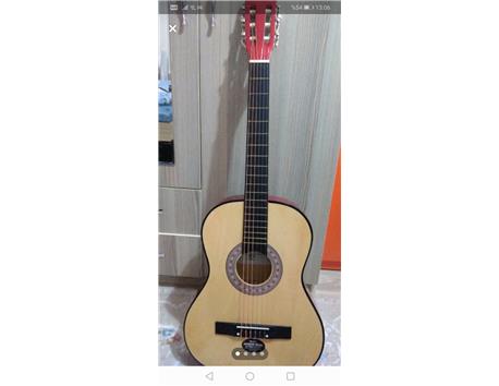Gonzales marka gitar