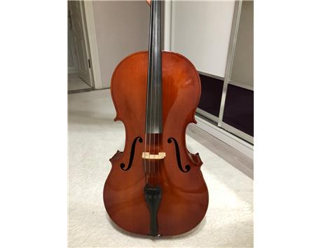 Temiz kaliteli Strunal 40/4 F 4/4 Çello