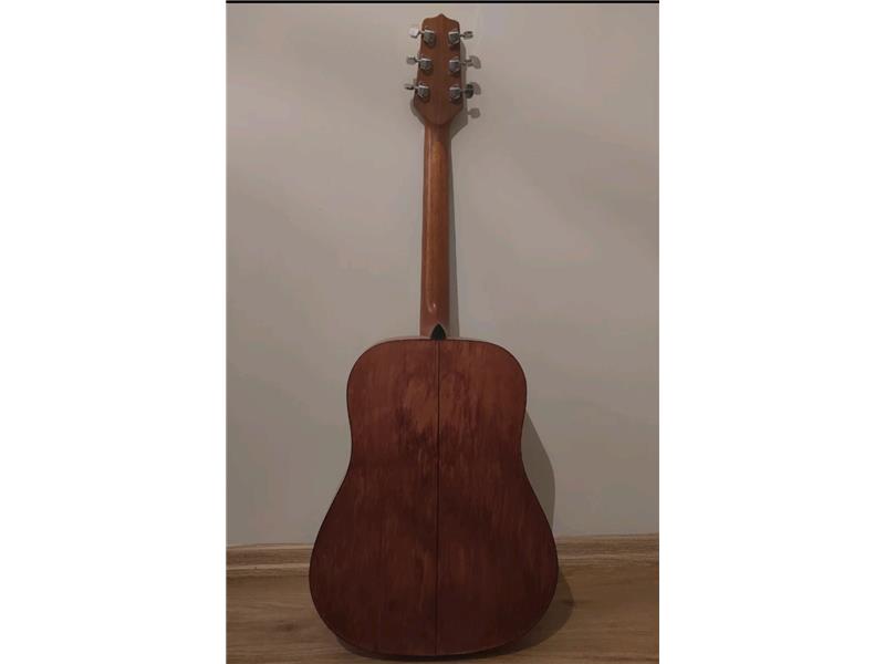 Takamine profesyonel akustik gitar 