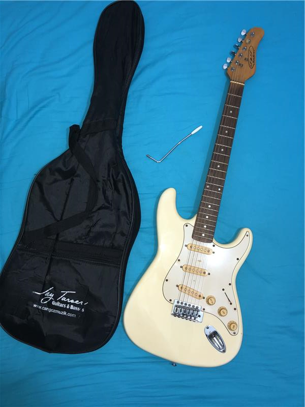 Jay Turser Stratocaster 