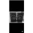 Pioneer S-DJ05 Aktif monitör çift