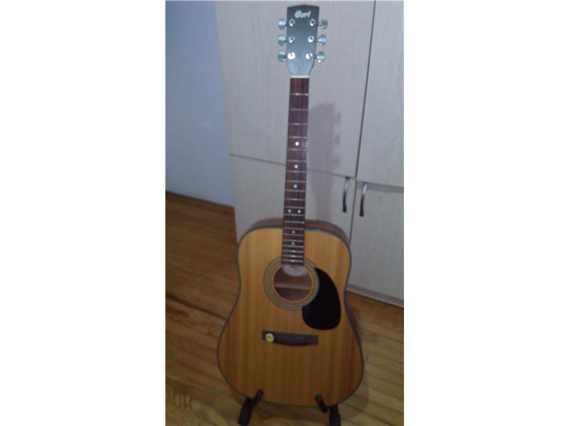 Washburn Elektro Gitar + Cort Akustik Gitar 