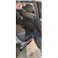 Opel omega 