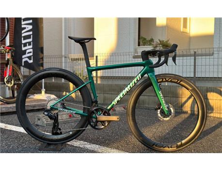 2025 Specialized Turbo Levo 3 Expert