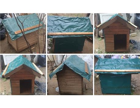 köpek kulübeleri 2 adet mevcut detayları okuyunuz adet 4500 tl