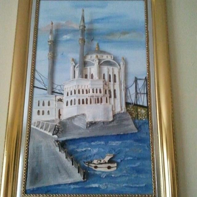 Cerceveli hallaeri